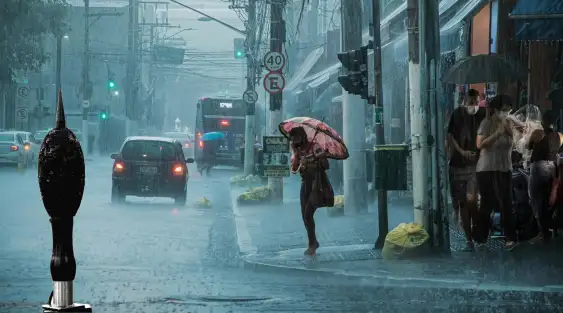 IP65 Protection Rating