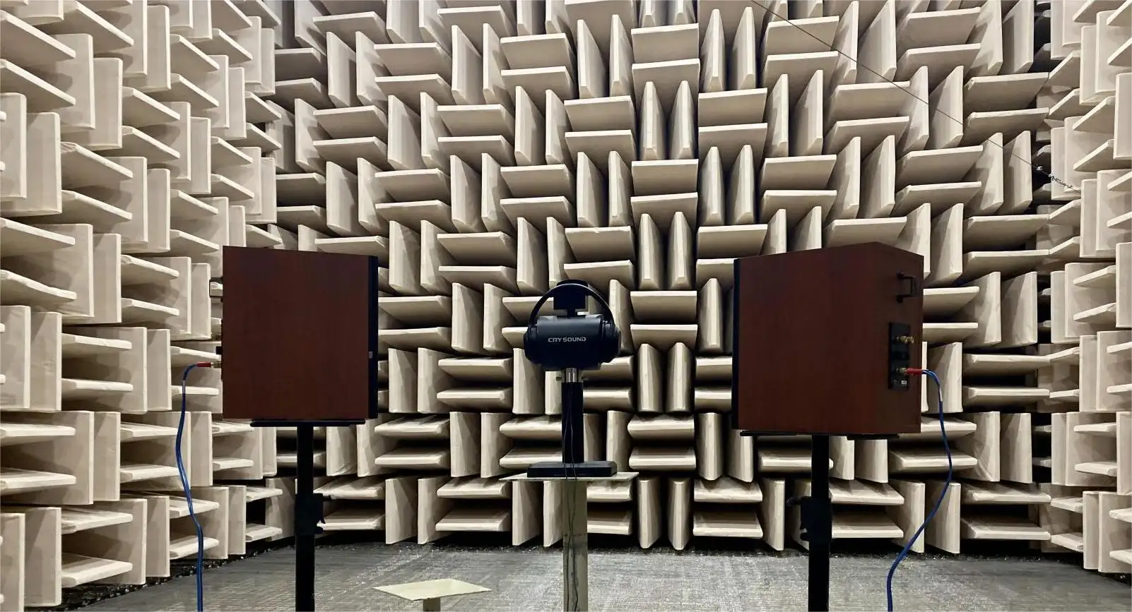 Anechoic Chamber